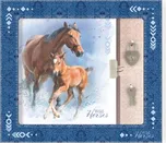 Argus Zápisník se zámkem Wild Horses