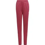adidas Tiro 21 Track Pants GP0729 S