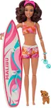 Mattel Barbie surfařka HPL69