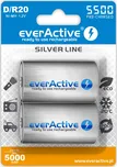 everActive Silver Line D/R20 2 ks