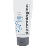 Dermalogica Daily Skin Health denní…