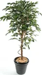 Vert Espace Ficus Tronc Simple 120 cm