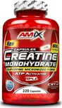 Amix Creatine Monohydrate 220 cps.