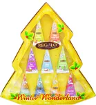 Regalo Winter Wonderland 9x 2 g
