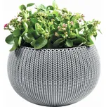 Keter Cozy M 17202379 36 x 36 x 23 cm