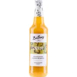 Báťkovy sirupy Zázvorový sirup 500 ml