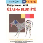 Můj pracovní sešit: Úžasná bludiště -…