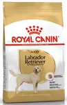 Royal Canin Labrador Retriever Adult