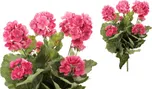 Autronic Muškáty růžové 40 cm