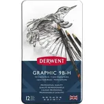 Derwent Graphic Soft 12 ks