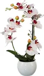 Umělá orchidej Phalaenopsis v…