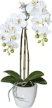 Gasper Orchidej v květináči 43 cm bílá