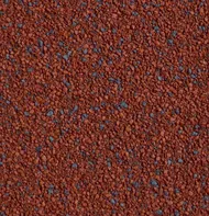Charvát a.s. Elast Coolna 5,0 x 0,5 m červená