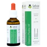 Salvia Paradise Veterinary Chanca…