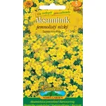 Nohel Garden Aksamitník jemnolistý…