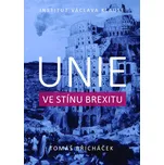 Unie ve stínu brexitu - Tomáš Břicháček…