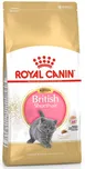 Royal Canin British Shorthair Kitten