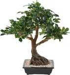 Vert Espace Ficus Bonsai 58 cm