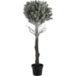 Harasim Strom v květináči 107652 90 cm