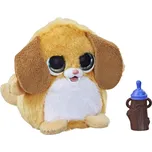 Hasbro furReal Friends Fuzzalots