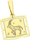 Goldstore 1.23.ZN056906
