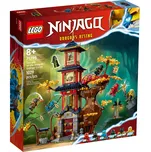 LEGO Ninjago 71795 Chrám dračích…