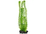 Rostlina Ambulia 38 cm