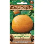 MoravoSeed Goliáš tykev velkoplodá…