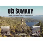 Oči Šumavy - Václav Vetýška (2017,…