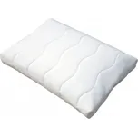 DŘEVOČAL Lukáš Aloe Vera 55 x 40 cm