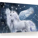Karton P+P Podložka na stůl 60 x 40 cm