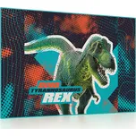 Karton P+P Premium Dinosaurus 5-86621