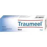Heel Traumeel S 50 g