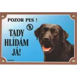 Dafiko Tady hlídám já labradorský…