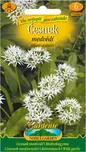 Nohel garden Allium ursinum česnek…
