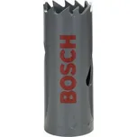BOSCH 2608584103