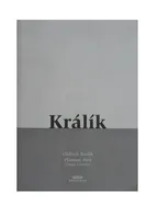 Platnosti slova - Oldřich Králík (2001, brožovaná)