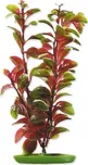 Rostlina Red Ludwigia 20 cm