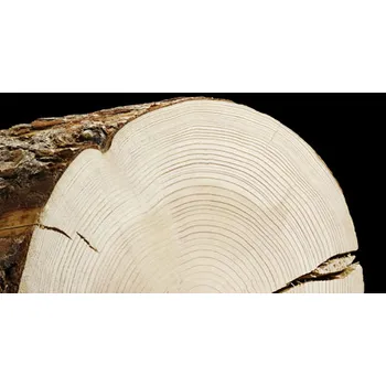 Christian Dior Homme Intense