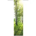 Home Wohnideen Newcastle zelený 245 x…