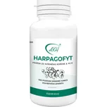 Harpagofyt Doplněk stravy pro podporu…
