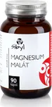 Sibyl Magnesium malát 500 mg 90 cps.