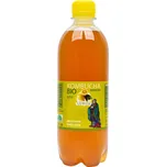 STEVIKOM Kombucha Bio bancha citron 500…