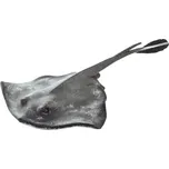 Safari Ltd. 100507 Rejnok