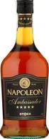 Stock Spirits Napoleon Ambasador 28 % 0,7 l