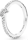 Pandora 197948CZ 58 mm