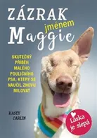 Zázrak jménem Maggie: Skutečný příběh malého pouličního psa Maggie, který se naučil znovu milovat - Kasey Carlin (2020, brožovaná)