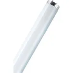 OSRAM T8 36W G13 denní bílá