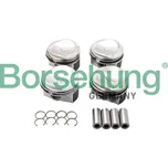 Borsehung B13582