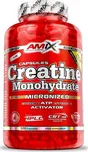 Amix Creatine Monohydrate 500 cps.